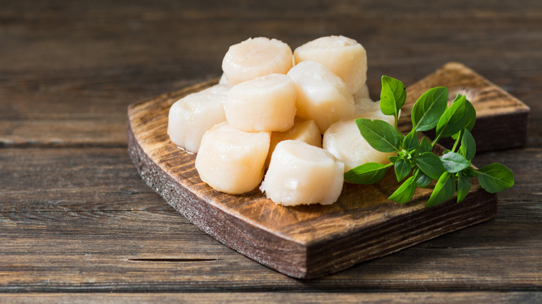 Raw scallops on cutting board