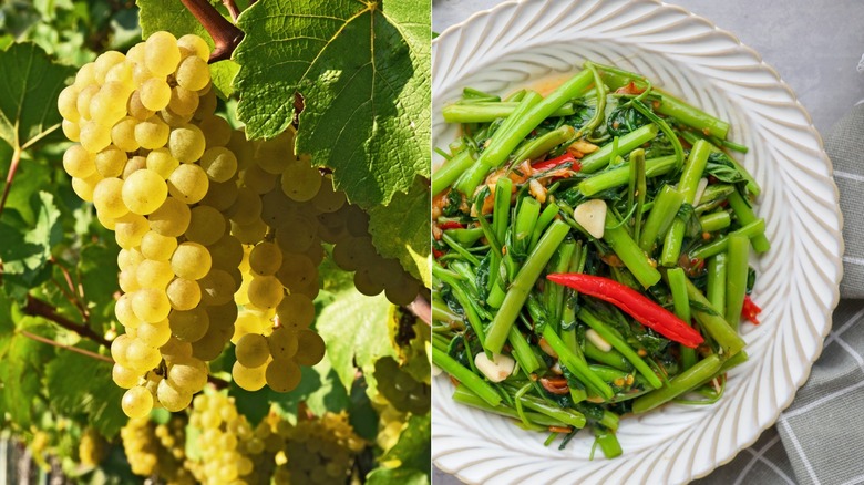 Grüner Veltliner grapes and stir fried morning glory