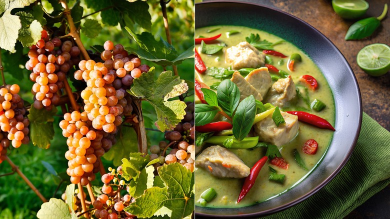 Pinot Gris grapes and Thai green curry