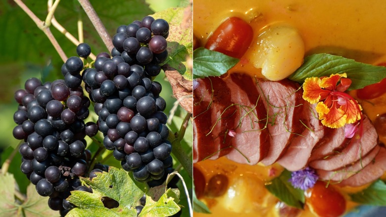 Pinot Noir grapes and Thai red curry with roasted duck