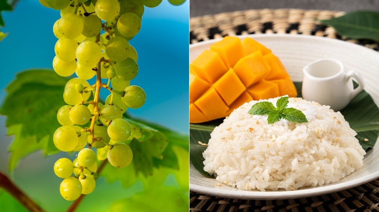 Glera grapes and mango sticky rice