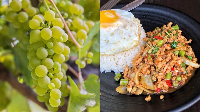 Sauvignon Blanc grapes and Pad Krapow Gai