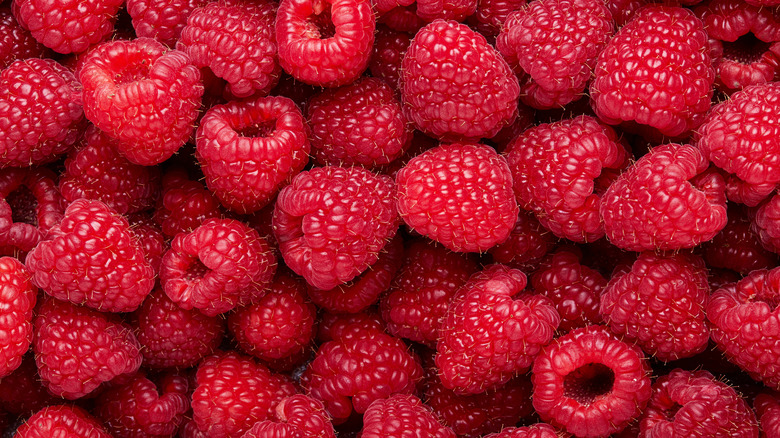 Fresh raspberries