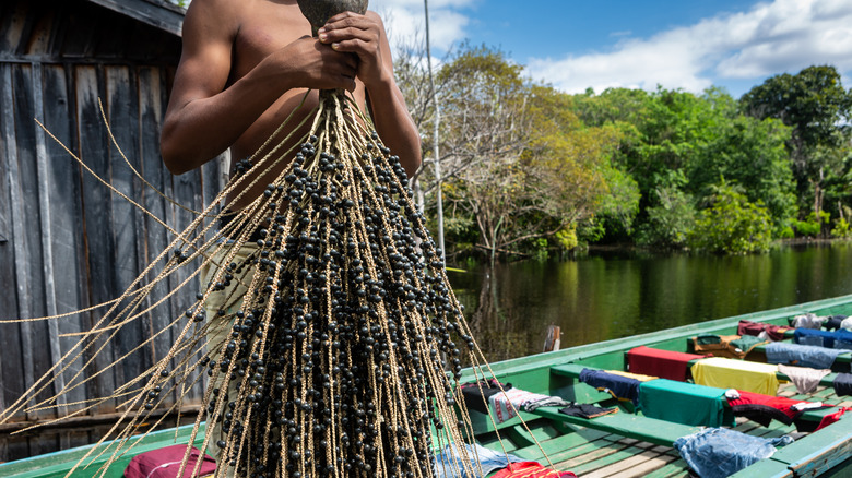 man on canoe holding acai berries