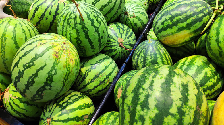 watermelons in bins for sale