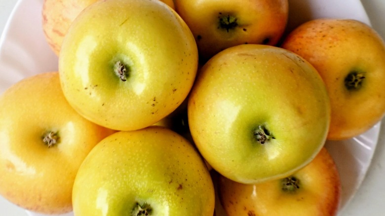 Several Newtown Pippin apples on a plate