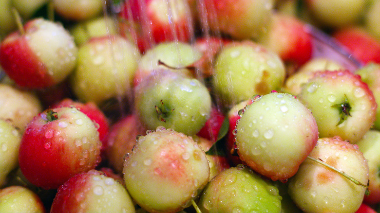 apples being washed under water