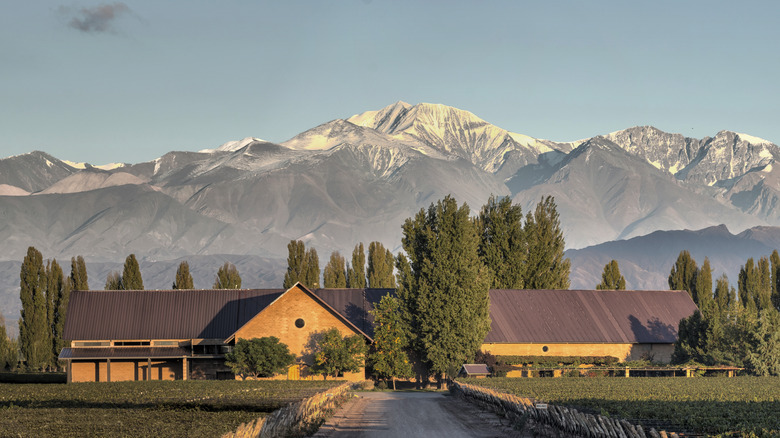 Winery entrance with mountains