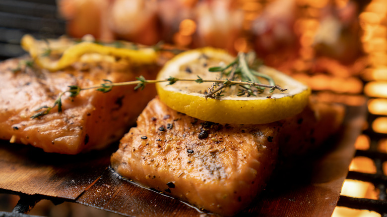 grilled lemon salmon dish 