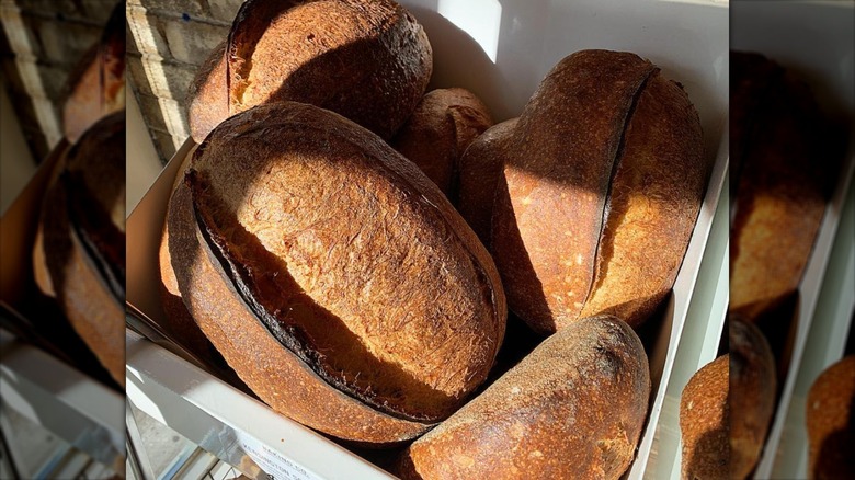 bread from Blackbird Baking