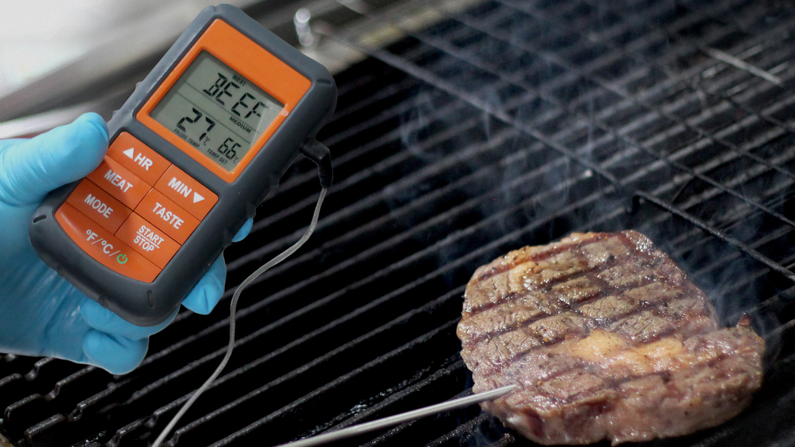 Using a Cake Tester vs Meat Thermometer for Steak