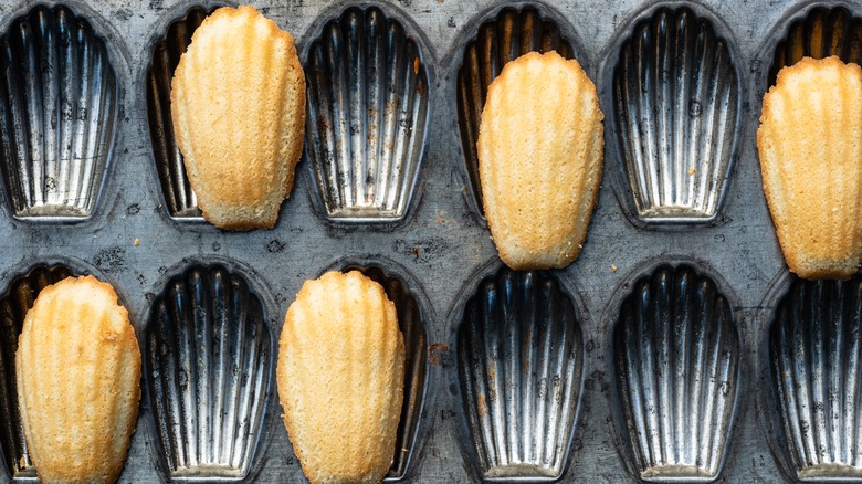 Tray of madeleines 