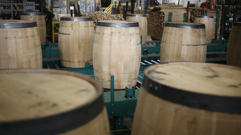 White oak barrels on a conveyor belt