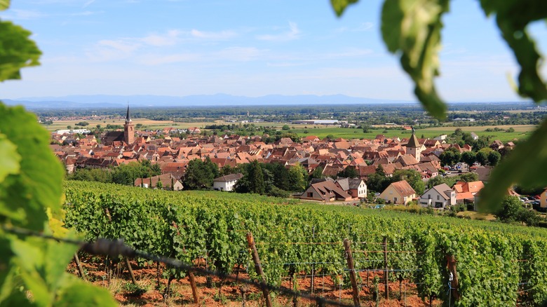 Bergheim in Alsace