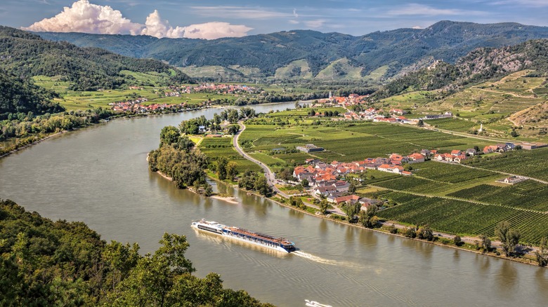 Austrian wine landscape 