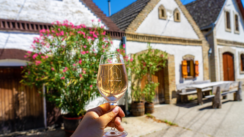 Hungary historic wine cellars rose