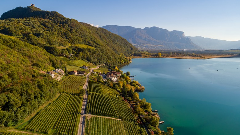 South Tyrol vineyards along lake