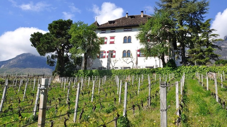 Elena Walch winery South Tyrol