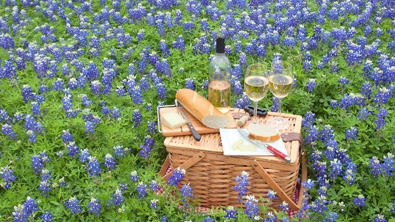 Wine and bluebonnets