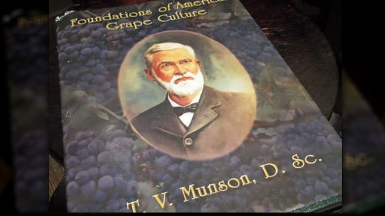 TV Munson's book cover