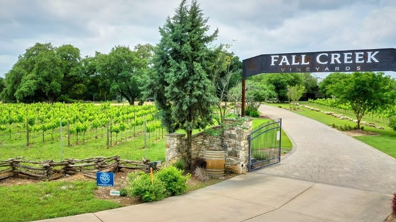 Fall Creek Vineyards