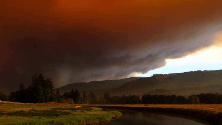 Smoke from wildfire over river