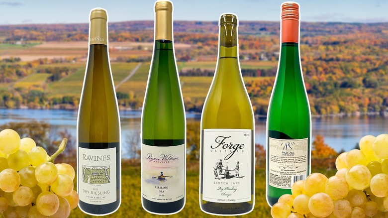 Wines and scenery of upstate New York's Finger Lakes