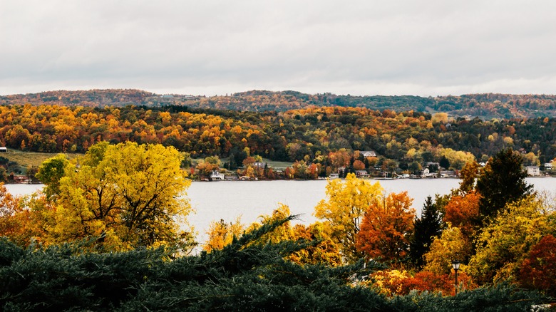 Finger Lakes landscape in the fall