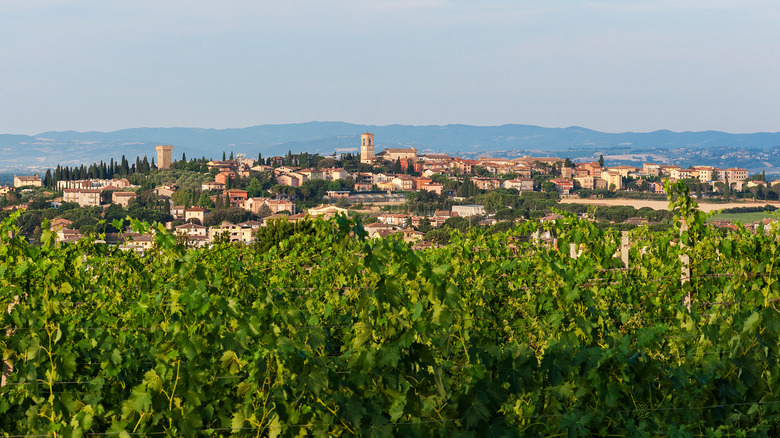 Torgiano, Italy