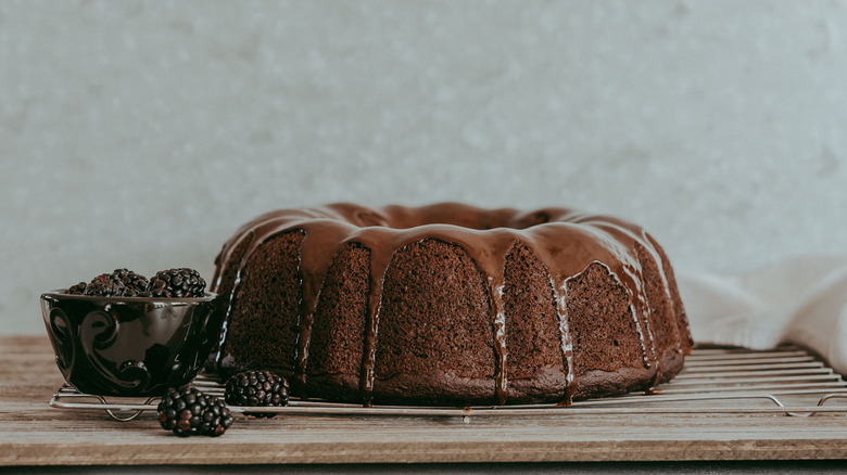 Chocolate bundt cake drizzled with chocolate sauce and a side of blackberries