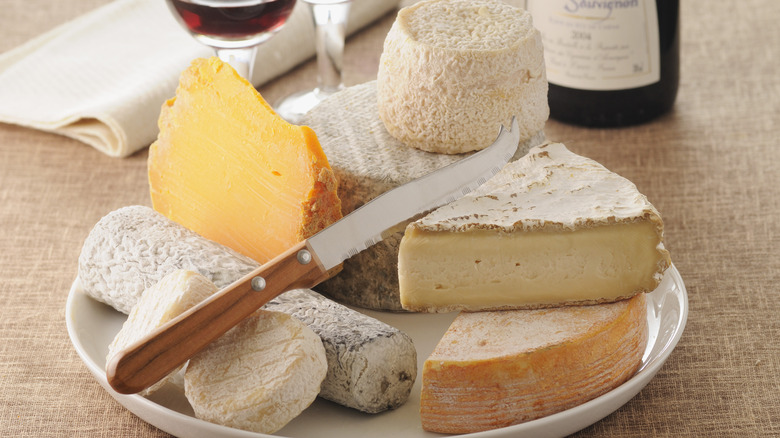 plate of hard and soft cheeses