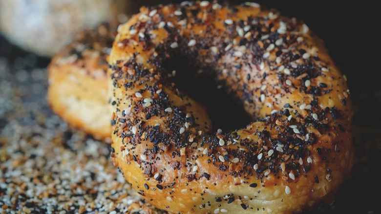 Bagelfelds everything bagel