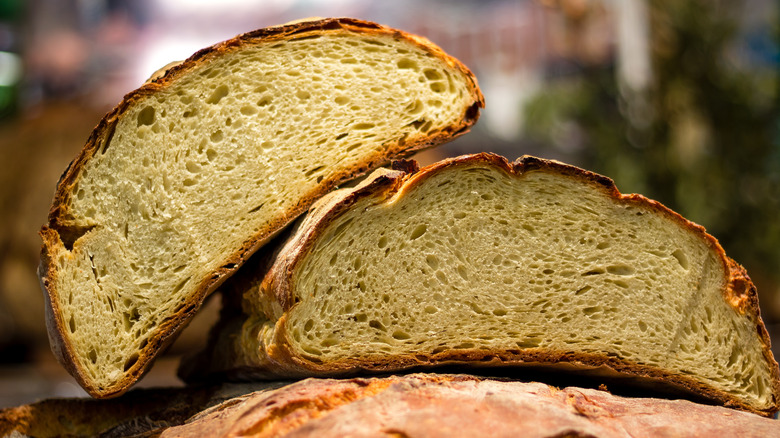 Cut loaf of Puglian bread