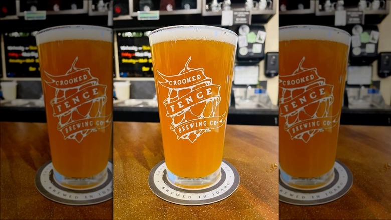 Crooked Fence Brewing Company beer in glass with logo