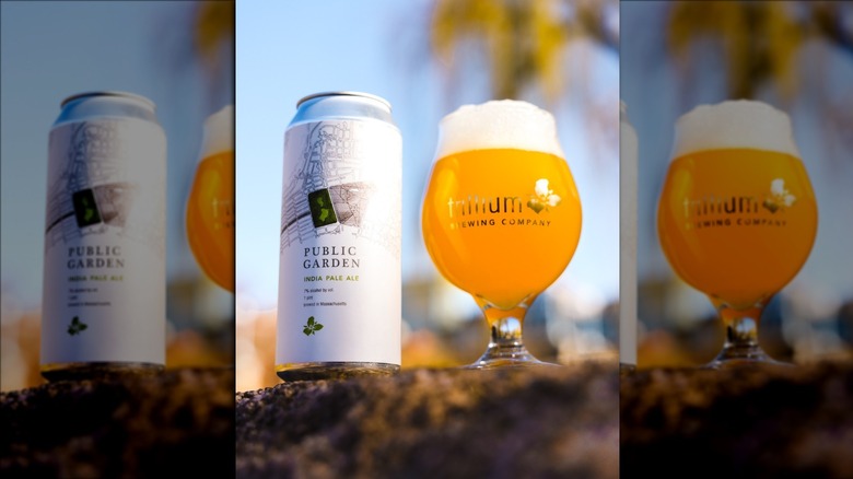 Trillium Brewing Company can and glass of beer