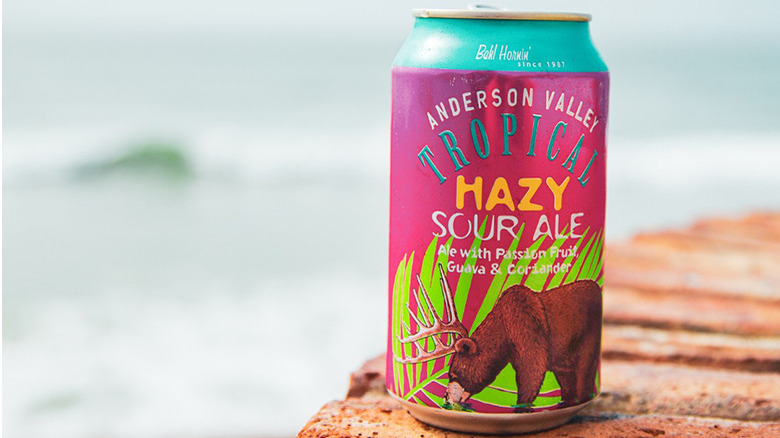 The 18 Best Canned Beers For Summer