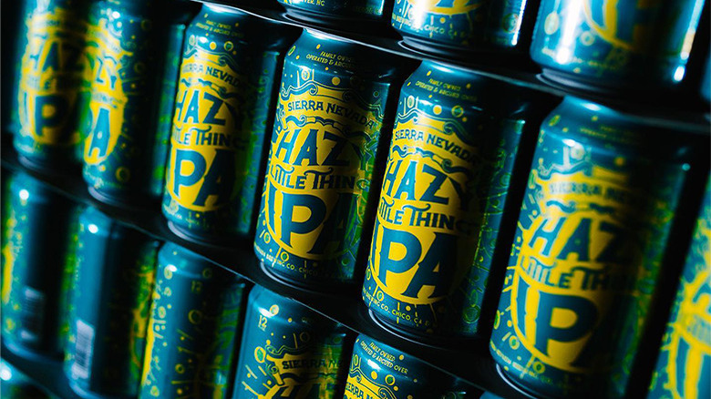 The 18 Best Canned Beers For Summer