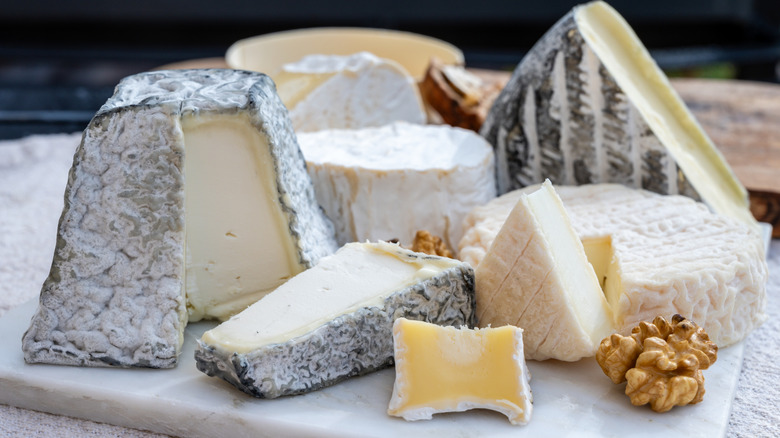 variety of soft cheeses arranged on marble slab