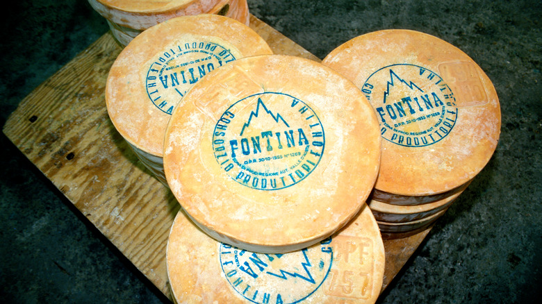 Blocks of fontina cheese