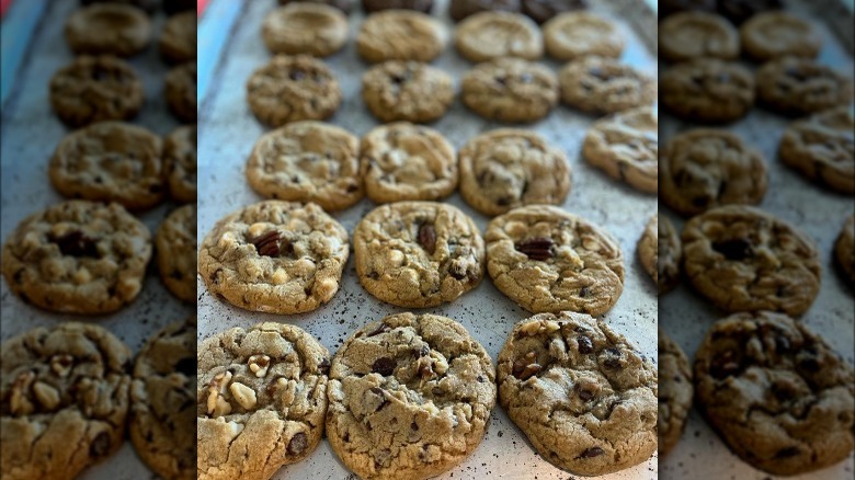 rows of chocolate chip cookies