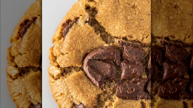 close up of a chocolate chip cookie