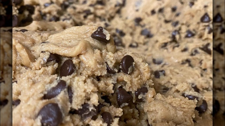 homemade chocolate chip cookie dough