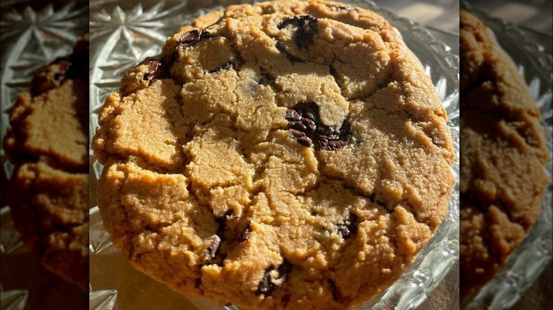 chocolate chip cookie