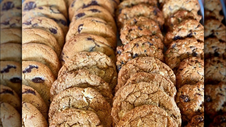 rows of chocolate chip cookies