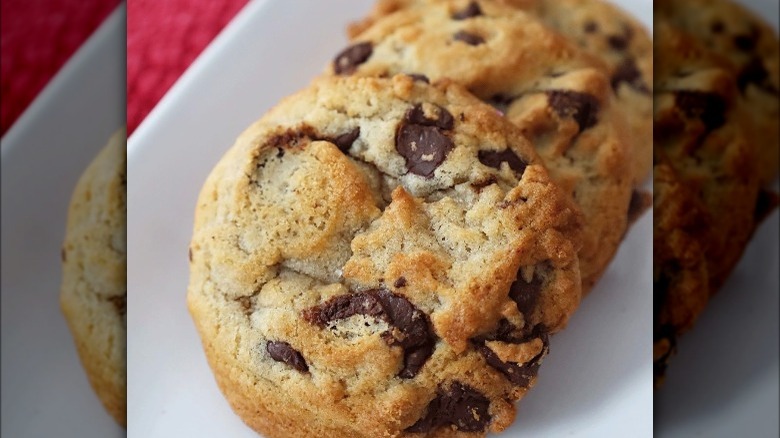 chocolate chip cookies on a white plate