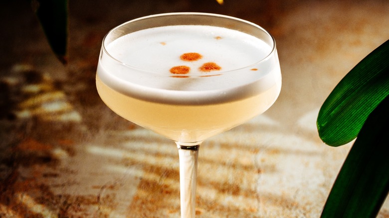 Pisco Sour cocktail