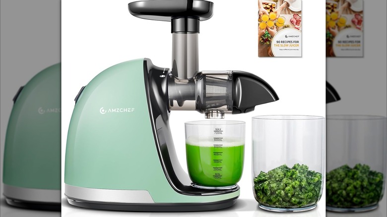 Amzchef Slow Juicer