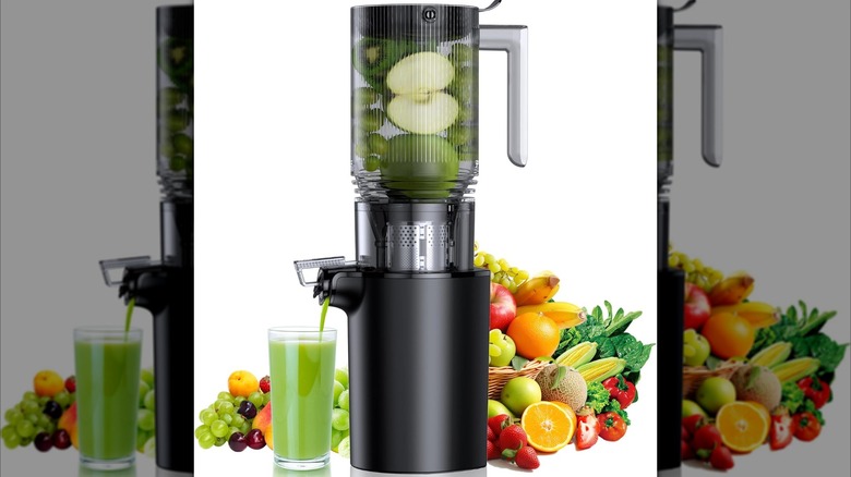 Assountgh Cold Press Juicer with fruit and veg on white background