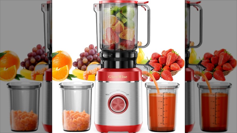 Glowwise Cold Press Juicer with fruits on a white background