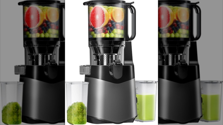 Luixxn Cold Press Juicer